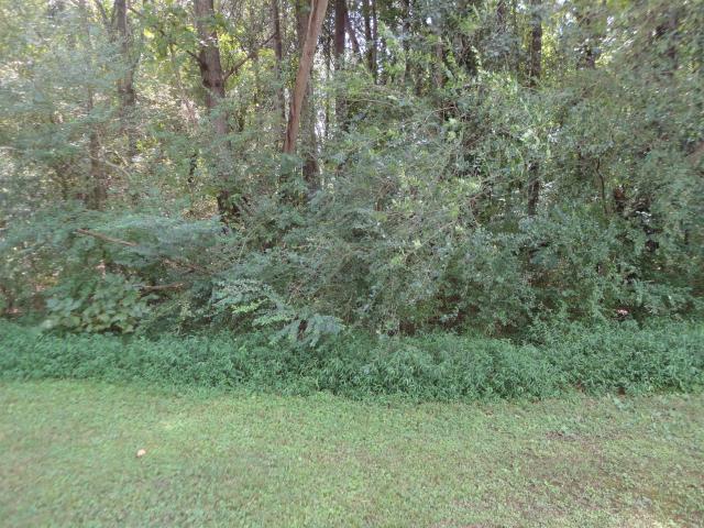 Land for sale in Hanceville, Alabama