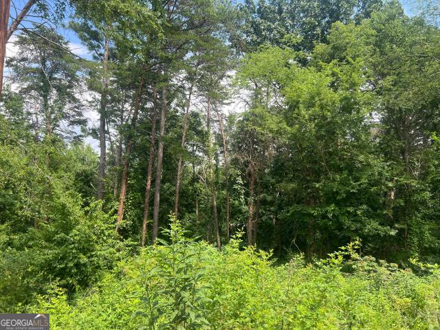 Land for sale in Lindale, Georgia