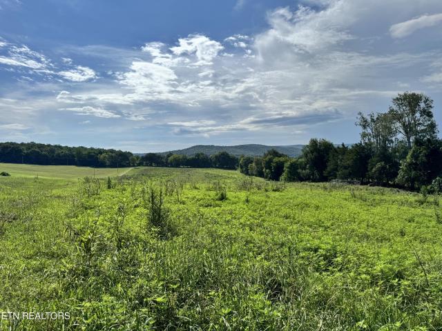 Land for sale in Tennessee