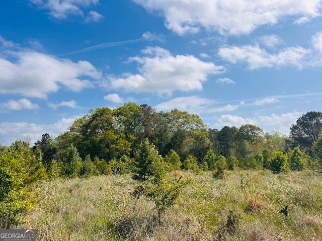 Land for sale in Concord, Georgia