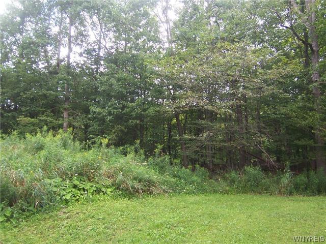 Land for sale in Alexander, New York