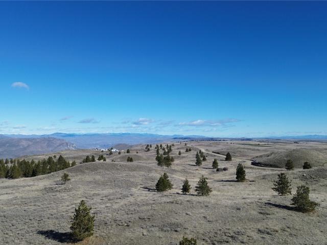 Land for sale in Waterville, Washington