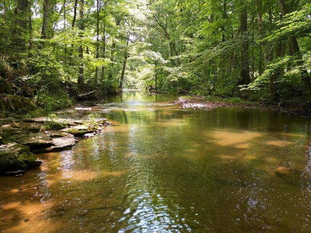 Land for sale in Tennessee