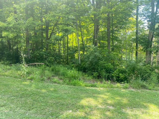 Land for sale in Carlisle, Nicholas County