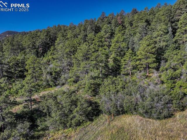 Land for sale in Palmer Lake, Colorado