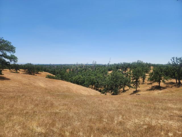 Land for sale in Red Bluff, California