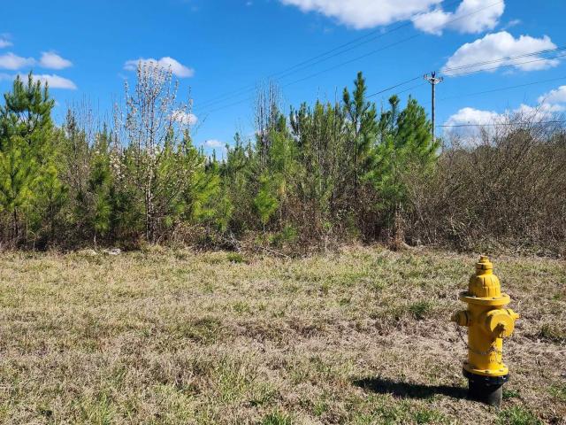 Commercial for sale in Cullman, Alabama