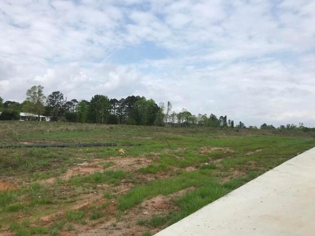 Land for sale in Many