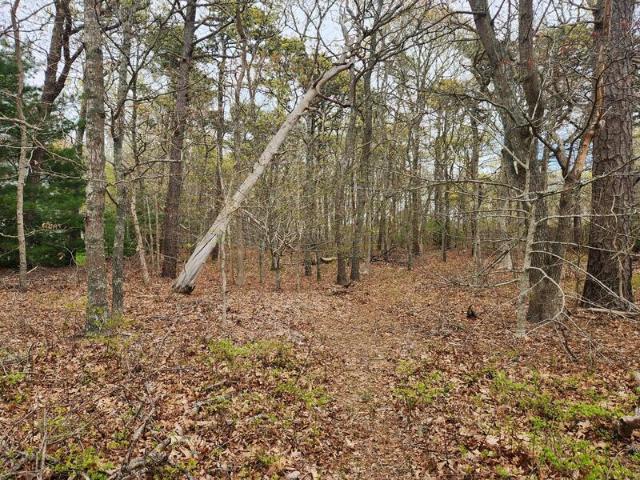 Land for sale in Brewster Land for sale in Brewster