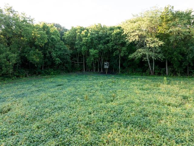Farm for sale in Sterling, Whiteside County