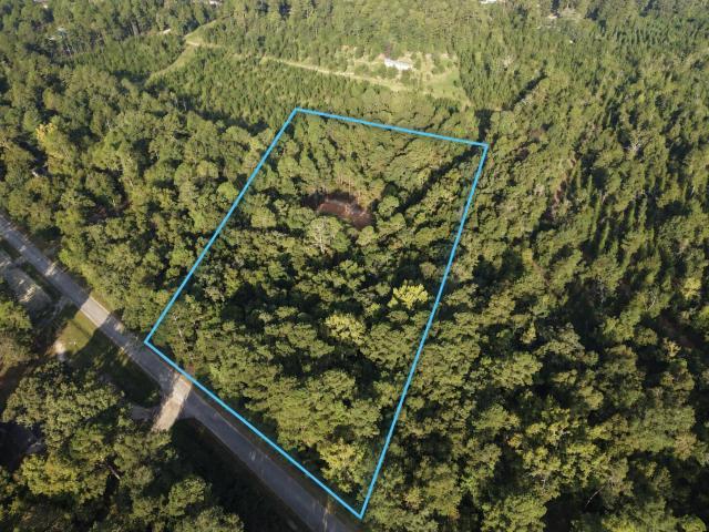 Land for sale in Neeses, Orangeburg County