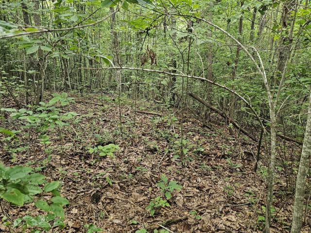 Property for sale in Tennessee