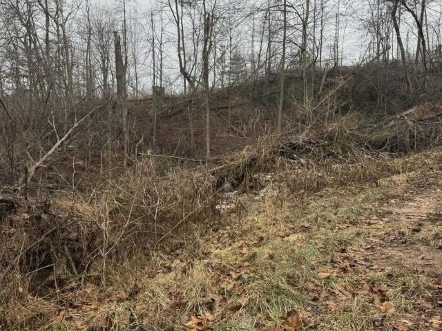 Land for sale in Munfordville, Kentucky