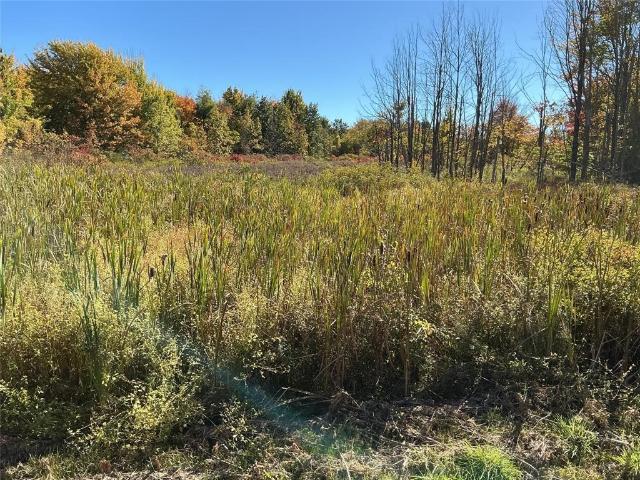 Land for sale in North East, Pennsylvania