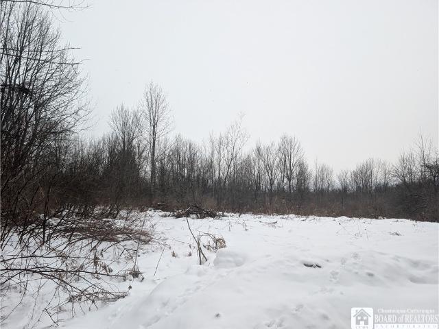 Land for sale in Ellery, New York