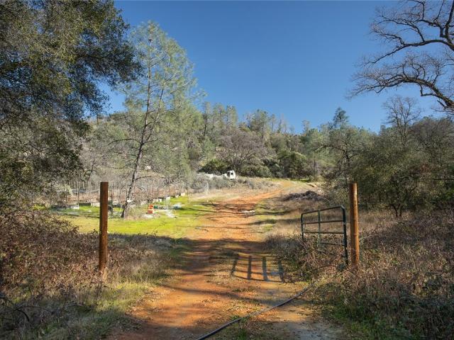 Land for sale in Butte, California