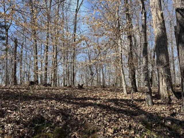 Property for sale in Tennessee