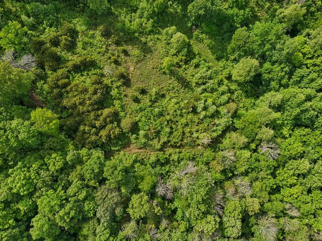Farm for sale in Tennessee