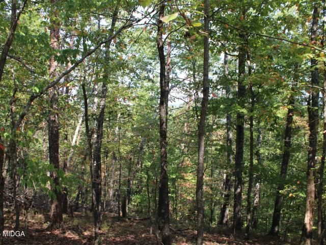 Land for sale in Murray, Georgia