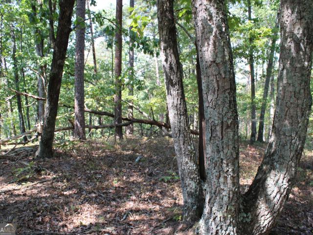 Land for sale in Murray, Georgia