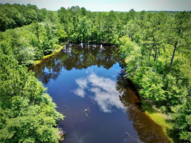 Land for sale in Bernice