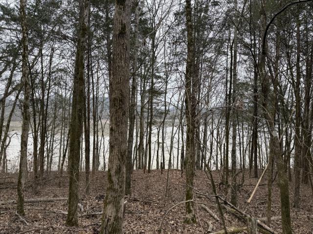 Land for sale in Gainesboro, Middle Tennessee
