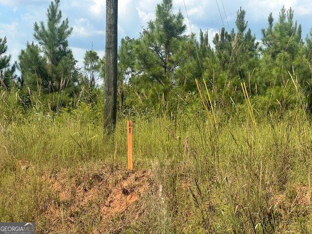 Land for sale in Monticello, Georgia