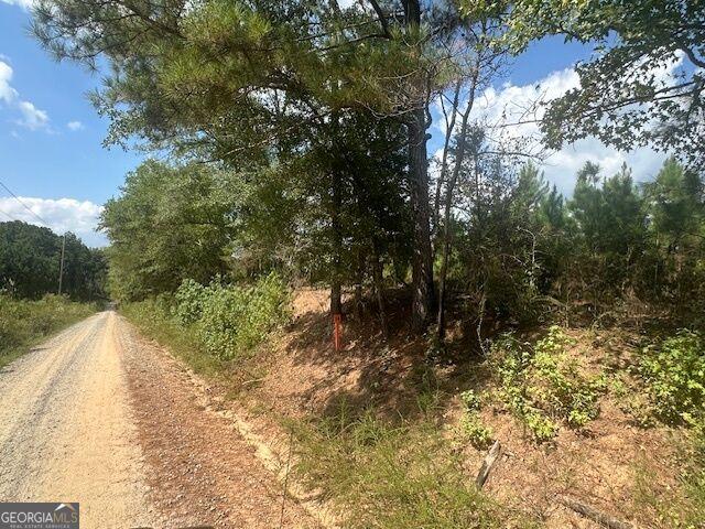 Land for sale in Monticello, Georgia