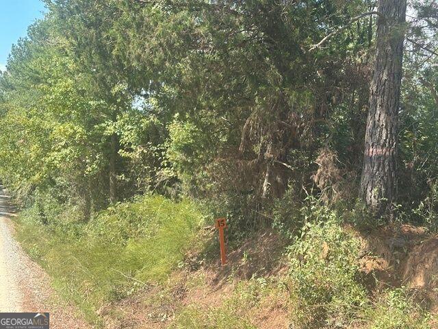 Land for sale in Monticello, Georgia