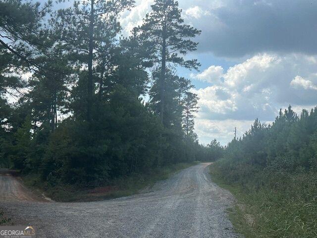 Land for sale in Monticello, Georgia