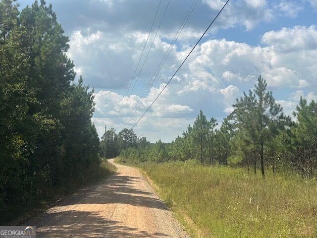 Land for sale in Monticello, Georgia