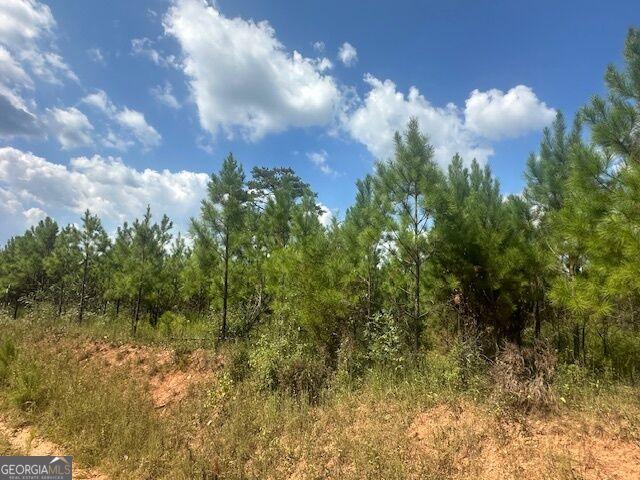 Land for sale in Monticello, Georgia