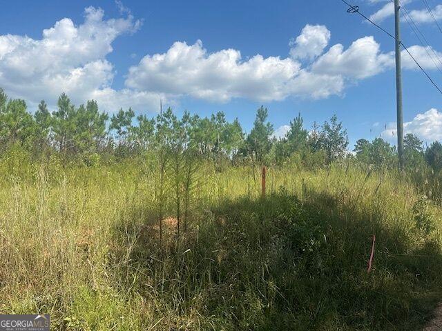 Land for sale in Monticello, Georgia