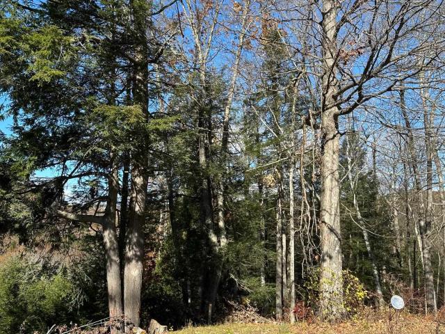 Land for sale in Brattleboro, Vermont