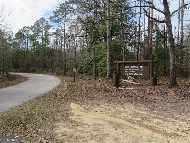 Land for sale in Quitman, Georgia