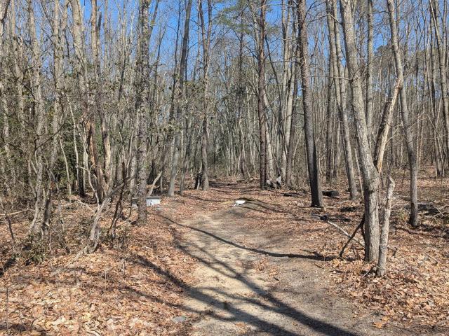 Land for sale in Alloway, New Jersey