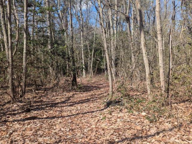 Land for sale in Alloway, New Jersey