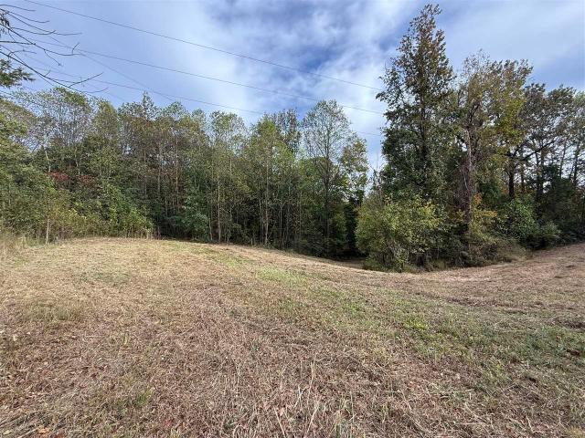 Land for sale in Morgantown, Kentucky