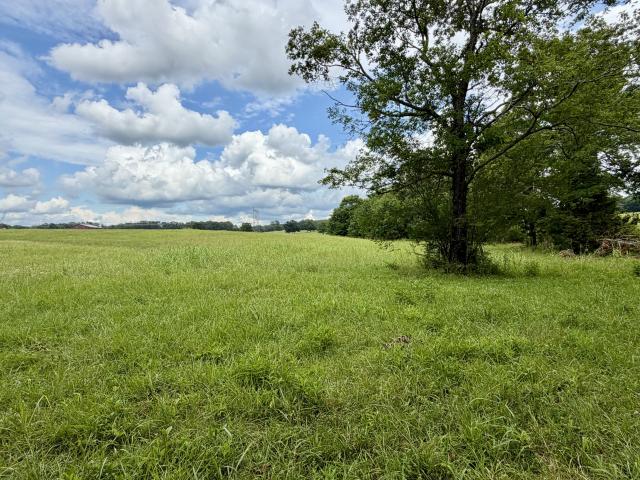 Land for sale in Tennessee