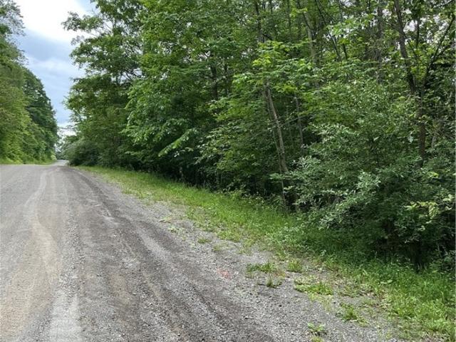 Land for sale in Van Etten, New York
