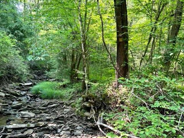 Land for sale in Beattyville, Lee County
