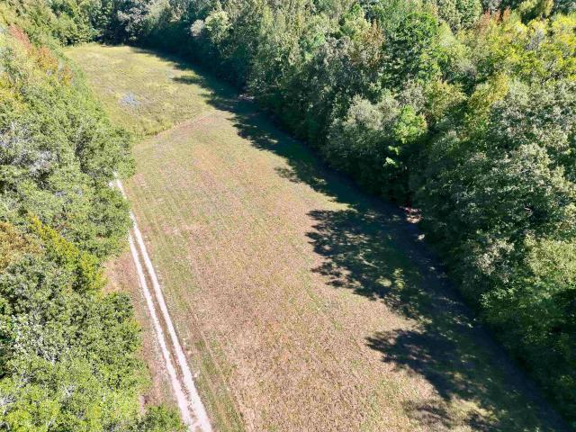 Land for sale in Silerton, West Tennessee