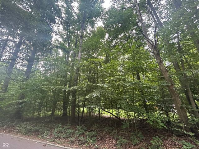 Land for sale in Nineveh, Indiana