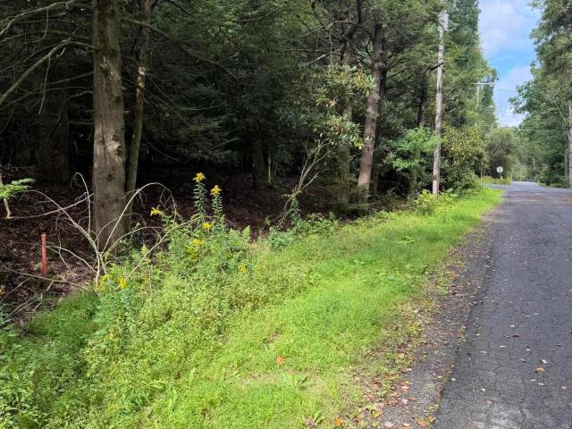 Land for sale in Elmhurst, Elmhurst Township