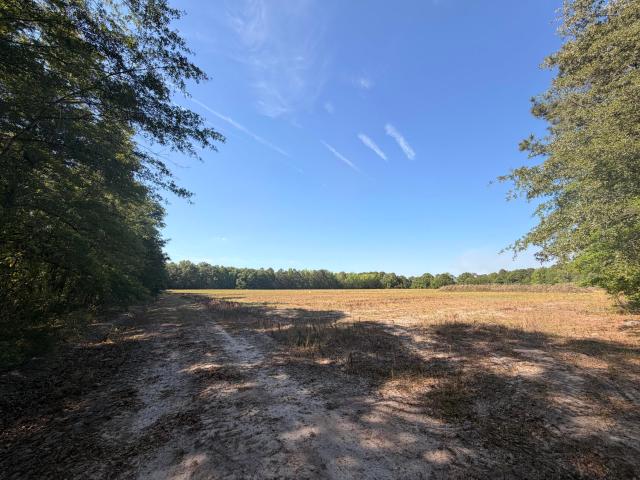 Land for sale in South Carolina