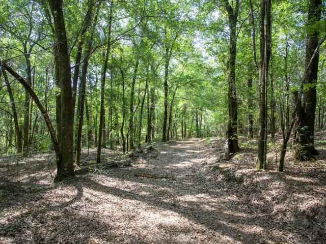 Land for sale in Eufaula, Barbour County