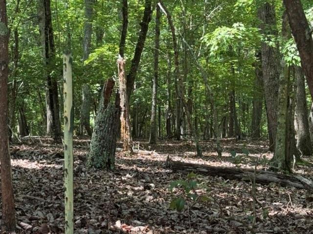 Land for sale in Troy, North Carolina
