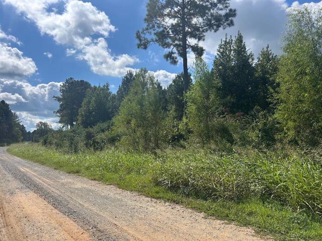 Land for sale in De Soto, Louisiana