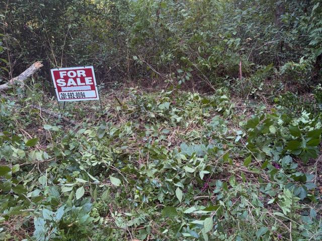 Land for sale in Splendora, Montgomery County