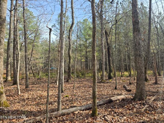 Land for sale in Tennessee